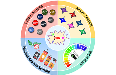 Chromogenic and fluorogenic Schiff base sensors 2025.100751